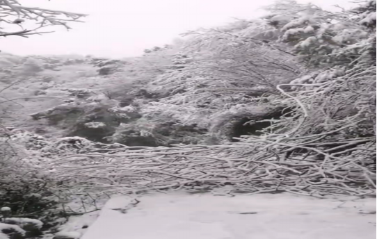 戰(zhàn)暴雪、保供電！湖南發(fā)展鳥兒巢公司應(yīng)對極端天氣緊急搶修失電故障